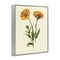 Stupell Industries Twin Marigold Blooms Framed Giclee, design by Connie Resch